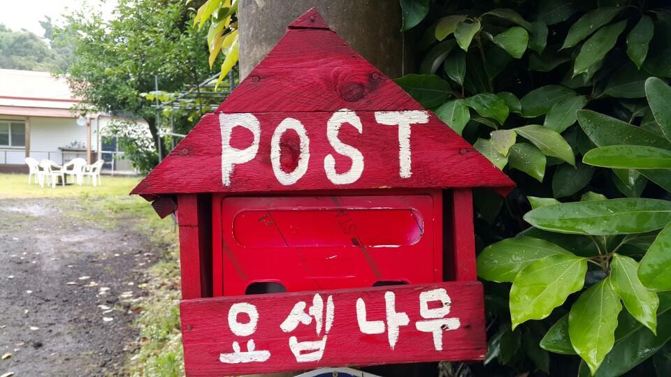 Joseph Tree Guest House Jeju Exterior photo